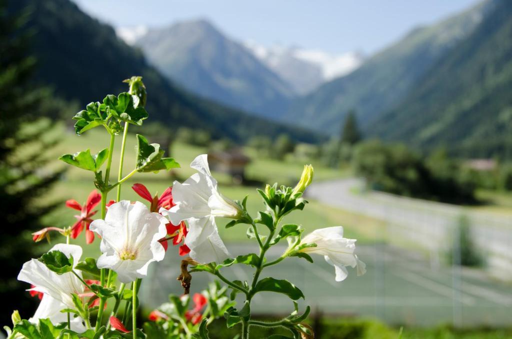 Apart-pension Wasserfall Apartamento *